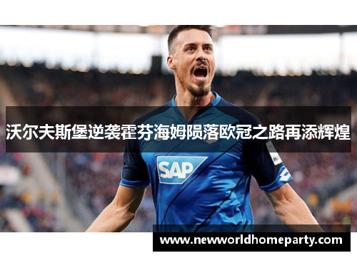 沃尔夫斯堡逆袭霍芬海姆陨落欧冠之路再添辉煌
