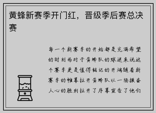 黄蜂新赛季开门红，晋级季后赛总决赛