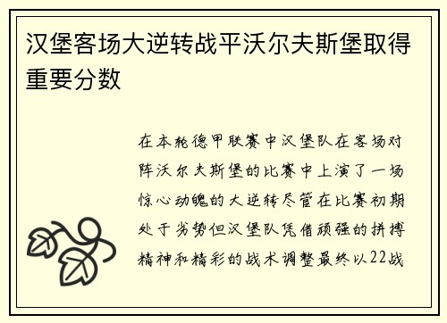 汉堡客场大逆转战平沃尔夫斯堡取得重要分数